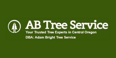 landscaping – arborist_adam bright tree service