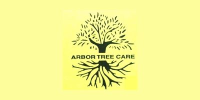 landscaping – limb removal_arbor tree care