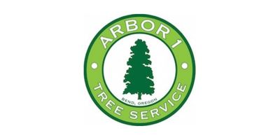 tree servicesarborist_arbor 1 tree service