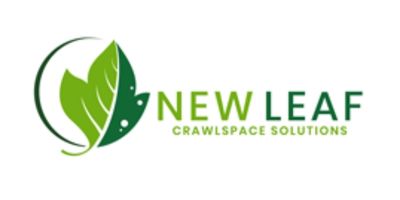 drainage_new leaf